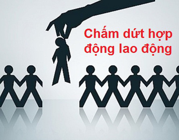 VPS LAW & PARTNER